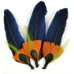 Feather Picks 5.5" 3/Pkg Blue & Sienna