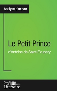 Le Petit prince, Analyse appprofondie