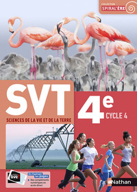 SVT, 4e, cycle 4