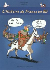 Histoire de France en BD Tome 1 de la préhistoire à la Gaule celtique