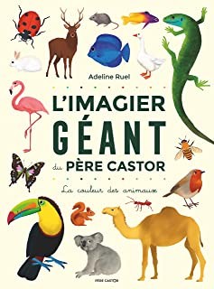 L'IMAGIER GEANT DU PERE CASTOR - LA COULEUR DES ANIMAUX