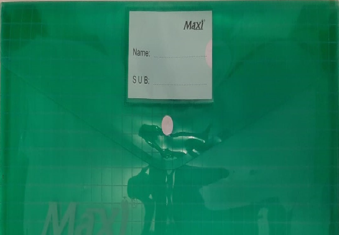 Clear Bag F/S (Name card slot) Green/Vert 37cm x 26cm