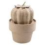 Mini cactus boule 7x7x11cm / Mini ball cactus